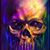 Lisa Ortiz's profile image