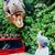 Daniel Rivera's profile image