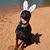 Kristine Nelson's profile image