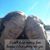 Paula A. Klingensmith's profile image