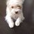 Swt Daisy's profile image