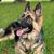 Suzanne Odum-McDowall's profile image