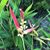 Amy Taylor Vermeulen's profile image