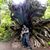 Brian Tyler Thornton's profile image