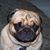 Philo Schnell's profile image