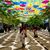 Katia Lozada's profile image