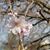 Georgeann Clark's profile image