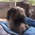 Tracy Lee Ripple's profile image