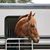 Cyndi Sundquist Ryan's profile image