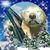 Murphy McHugh's profile image
