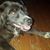 Kathleen Bartalo Brown's profile image