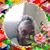 Spann Carolyn's profile image