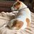 Angela Marlier's profile image