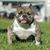 Dexter Tan Rivera's profile image
