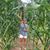 Sharon Wilks Squyres's profile image