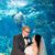 Brittany Anne McGarrity's profile image
