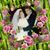 Roxanne Miller's profile image
