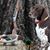 James C. Funderburg's profile image