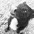 Sybil Reinhart Regimbeau's profile image
