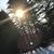 Pamela Gordon Crosson's profile image