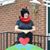 Stephen Coghill's profile image