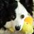 Tammy Davids's profile image