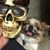 Trish Scherer Ruck's profile image