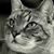 Randy Lee Riggs Jr.'s profile image