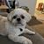 Linda Roberge's profile image