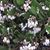 Julie Neilson Cadigan's profile image