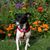 Joan Lyon's profile image
