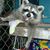 Kathy Gaynor's profile image