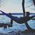 Taylor Stewardson's profile image