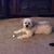 Debbie Wiltin Hamby's profile image