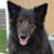 Amy Wilhelmsen's profile image