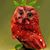 Lori Duran's profile image