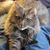 Kathy Fischer's profile image