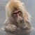 Maureen Spencer's profile image