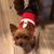 Darla Clough's profile image