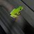 Shay Bergin's profile image