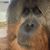 Lisa Smith's profile image