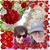 Michele Dimura Collins's profile image