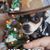 Randy Caswell's profile image