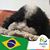 Abilio Teixeira's profile image