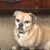 Kevin Banach's profile image