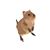 Julia Ann Cowden's profile image