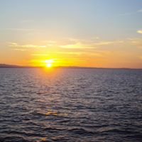 Maria Medina Marenco's profile image