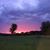 Helen White Daugherty's profile image
