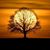 Anna Jones-Craver's profile image