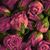 Barb Coughlin's profile image